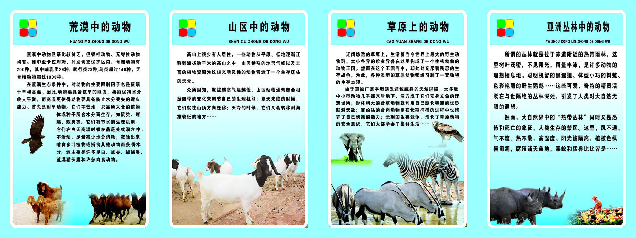 727海报印制展板写真喷绘贴纸236动物科普知识