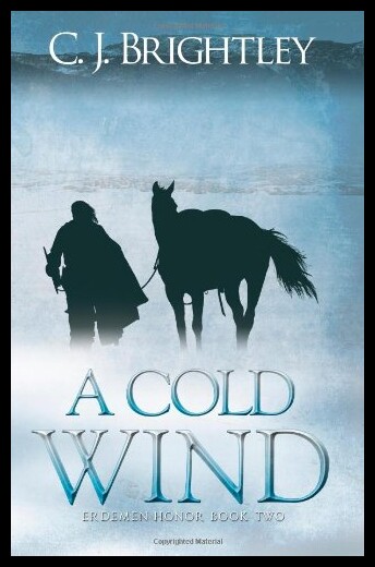 【预售】A Cold Wind