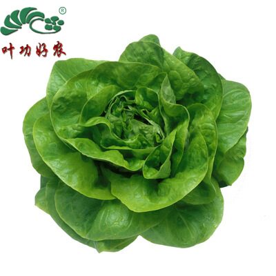 蔬菜沙拉蔬菜新鲜奶油西餐配料