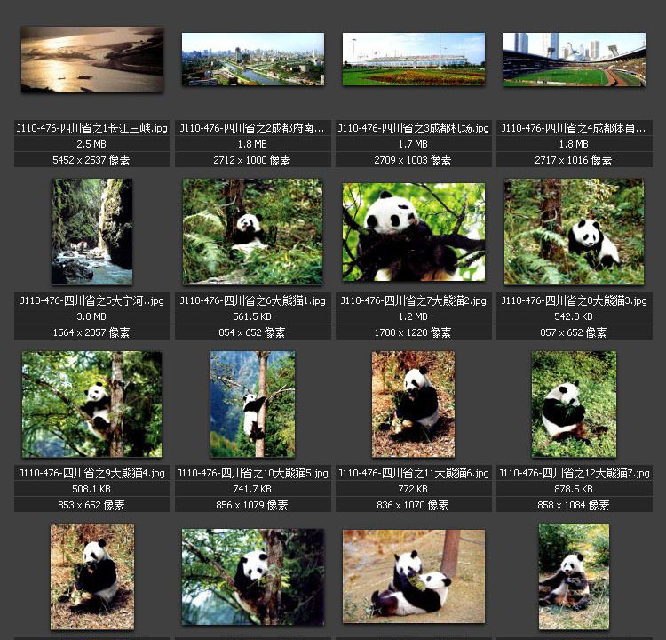 四川风光 大熊猫 竹林小道 山河大地 素材图片图库