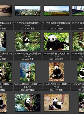 四川风光 大熊猫 竹林小道 山河大地 素材图片图库