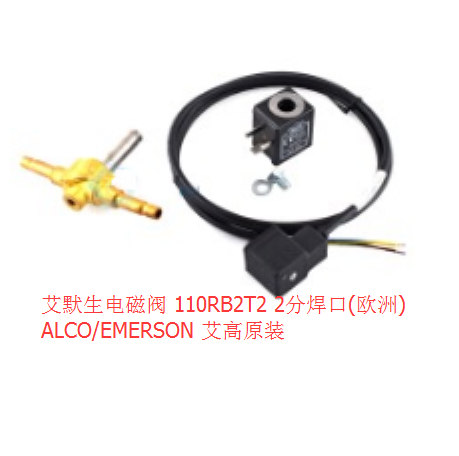 艾默生电磁阀 110RB2T2 2分焊口(欧洲) ALCO/EMERSON 电磁阀