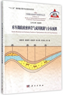 【正版包邮】库车拗陷致密砂岩气成因机制与分布预测(精)/中国叠合盆地