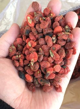 超低价新疆枸杞苟杞油货凉茶泡酒带叶子无石子500g五斤包邮可打粉