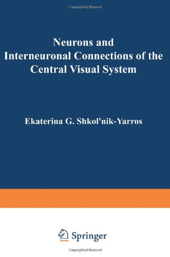 美国库房发货，通常付款后5-8周到货！