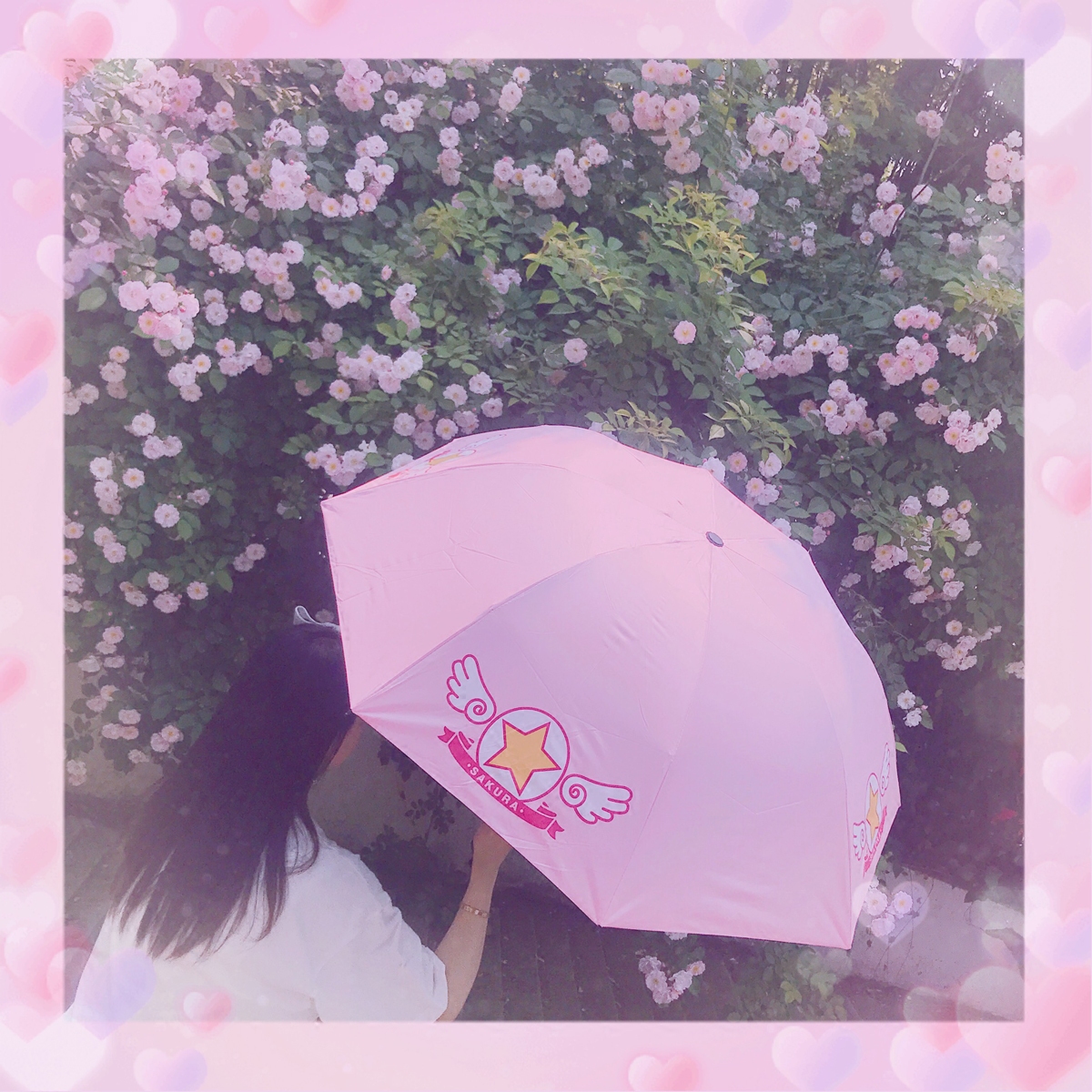 黑膠魔卡少女櫻雨傘折疊晴雨兩用太陽傘百變小櫻美少女動漫傘在類目 居家日用, 傘/雨具/防雨/防潮, 傘中 - 來自Buy2taobao.com提供專業的淘寶代購服務