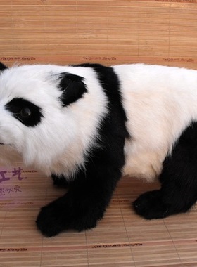 橱窗教学模型动物婚庆仿真陈列品