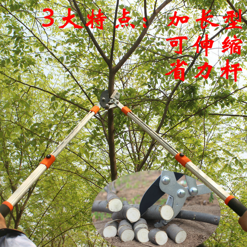 进口伸缩园林园艺工具大剪刀树枝剪粗枝剪果树修枝剪花省力加长型_虎窝淘