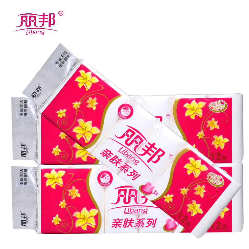 丽邦孕婴卫生纸850克无芯卷纸4层