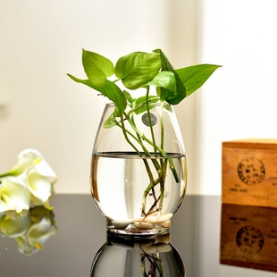 玻璃水培植物花瓶花盆透明辦公室養(yǎng)花綠蘿富貴竹水養(yǎng)魚缸器皿容器