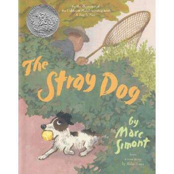 The Stray Dog流浪狗，流浪狗