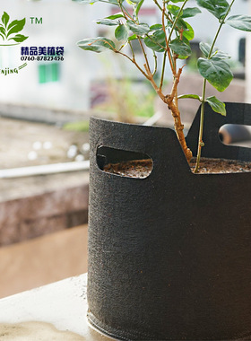 出口版黑色无纺布美植袋/grow bag植树袋种植袋育苗袋Fabric pot