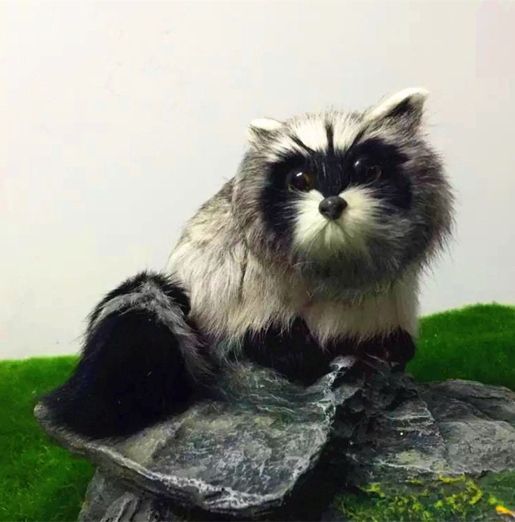 动物模型 仿真狐狸猫 花狸猫 九节狸 摄影道具玩具 教科认知装饰