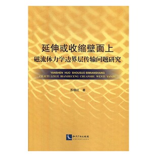 正版 延伸或收缩壁面上磁力流体力学边界层传输问题研究 苏晓红 书店 MBA教材书籍 书 畅想畅销书