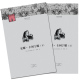 外国文学经典 官方自营 列夫·托尔斯泰 名家经典 河南文艺出版 上 译 安娜·卡列宁娜 社旗舰店正版 下 智量 著