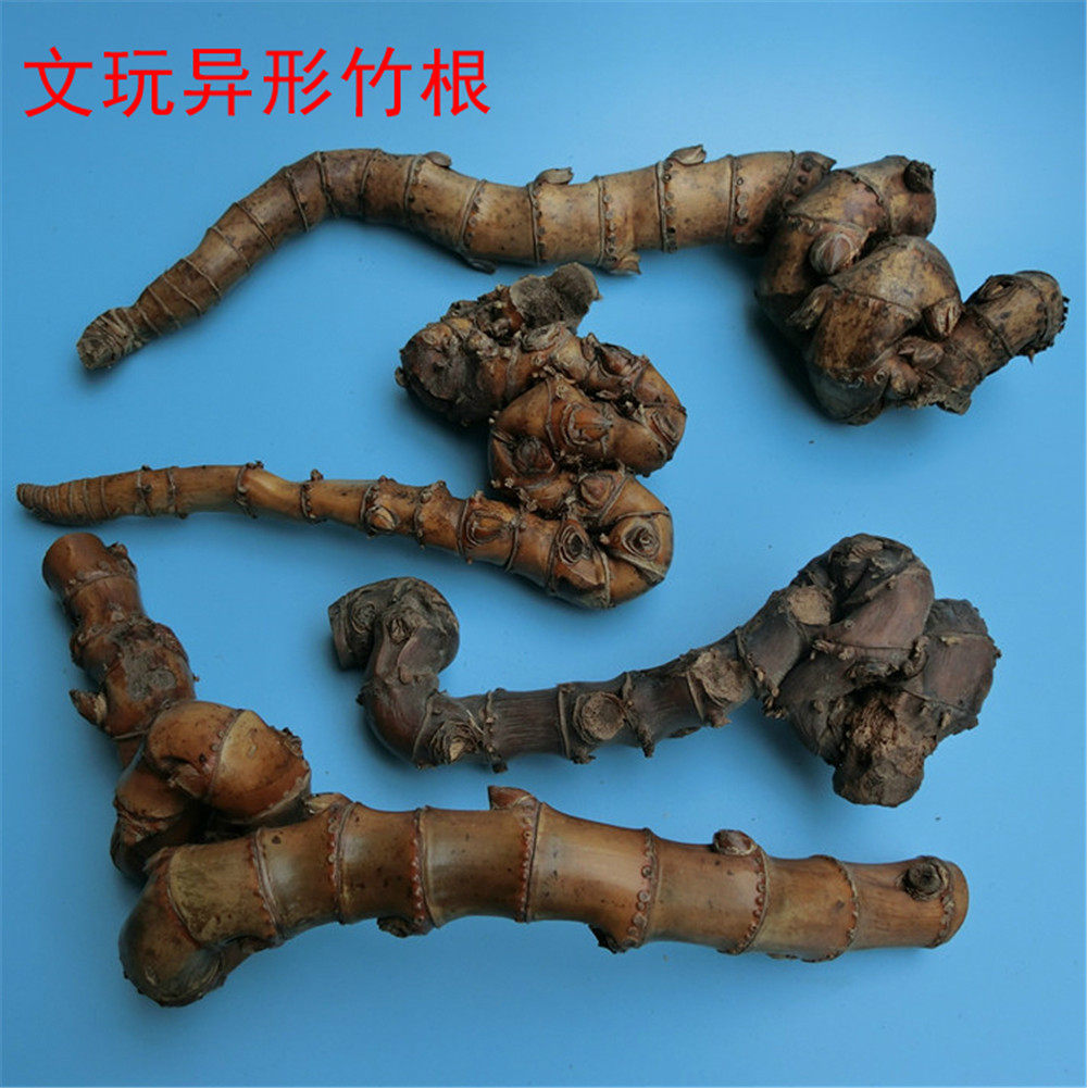 异形竹根竹鞭竹节竹子竹臂搁紫竹斑竹楠竹制品手把件把玩收藏原料