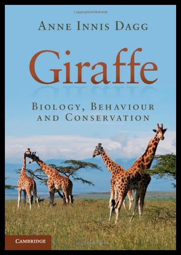 美国库房发货，通常付款后5-8周到货！