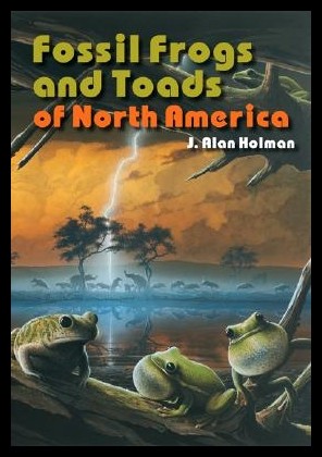 美国库房发货，通常付款后5-8周到货！