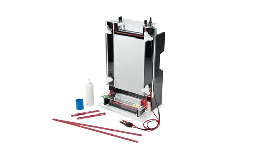 君意东方DNA测序电泳槽JY-CX1B制胶器盒托盘梳子试样格凝胶板