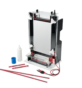 君意东方DNA测序电泳槽JY-CX1B制胶器盒托盘梳子试样格凝胶板