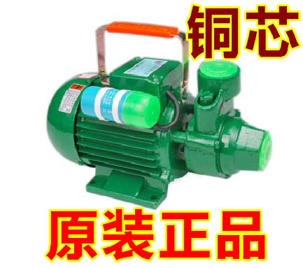 广东凌霄1DB65-B家用清水泵 750W抽水泵抽水机 IDB-650.75KW