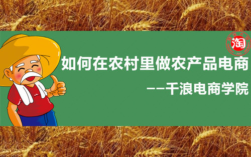 如何在农村里做农产品电商