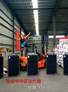 安培音箱AMPEG 4pro和810e录音演唱会 排练 乐队贝斯分体包邮