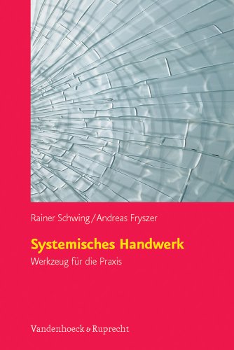 【预售】Systemisches Handwerk: Werkzeug Fur ...