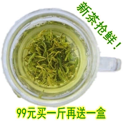 2024年新茶春茶 日照绿茶茶叶袋装 特级 手工青茶特价 99元包邮