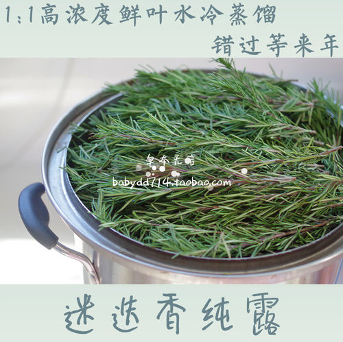 1:1马鞭草酮迷迭香鲜叶纯露230ML补水抗氧化收敛清洁毛孔闭口粉刺