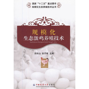 规模化生态蛋鸡养殖技术