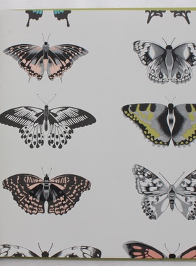 英国进口无纺现代风格蝴蝶卧室女孩房间墙纸111077 111078 111079