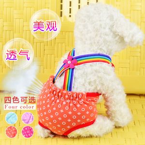 宠物背带生理裤中小型犬泰迪贵宾边牧京巴雪纳瑞狗狗月经库卫生巾