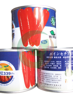 杂交高产日本非转基因胡萝卜种子