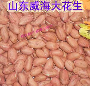 包邮山东威海农家自产红皮生花生米榨油花生仁零食休闲杂粮250克