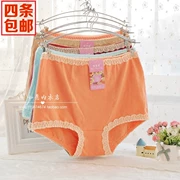 Bốn 1001 đồ lót nữ bằng vải cotton tam giác cỡ lớn quần lưng cao Lycra cotton cao cấp phiên bản