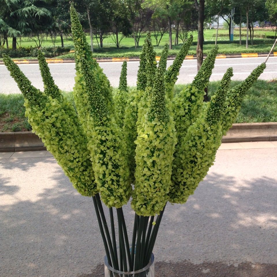 仿真花中凤梨 独尾草 橱窗花艺设计装饰假花干花绢花婚庆摆放