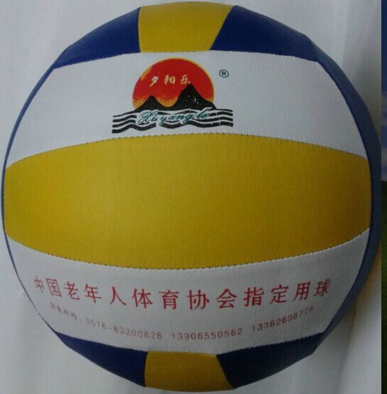 Ballon de volley-ball - Ref 2010783 Image 1