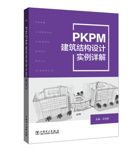正版包邮 PKPM建筑结构设计实例详解 树和 高等学校土木工程专业教材使用 高职高专房屋建筑工程专业函授教育程结构设计人员参考