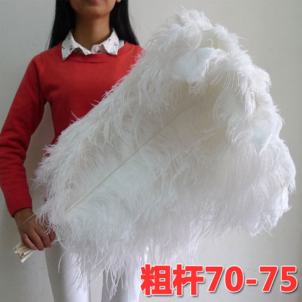 70-75cm粗杆宽毛鸵鸟羽毛 婚庆路引花艺巴西狂欢人妖表演服装配件