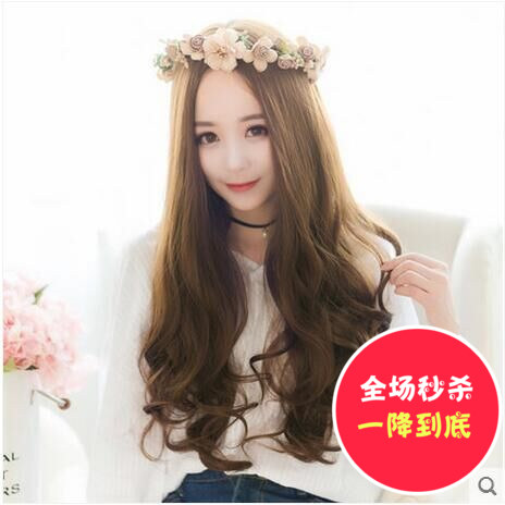 Perruque Les cheveux longs - Ref 2607675 Image 1