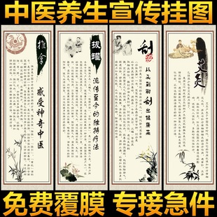 中医养生挂图经络图中医理疗挂图艾灸刮痧针灸