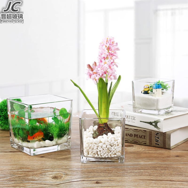 正方形水培玻璃器皿摆件透明方缸绿萝睡莲铜钱草水培花盆玻璃花瓶