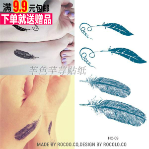9.9元包邮清新片片羽毛 男女防水贴纸纹身贴纸4个图案