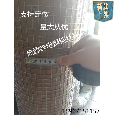 特价热镀锌钢丝网 电焊网孔10mm 丝径1.0mm高1米
