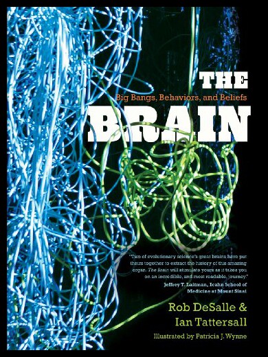 【预售】The Brain: Big Bangs, Behaviors, and Beliefs