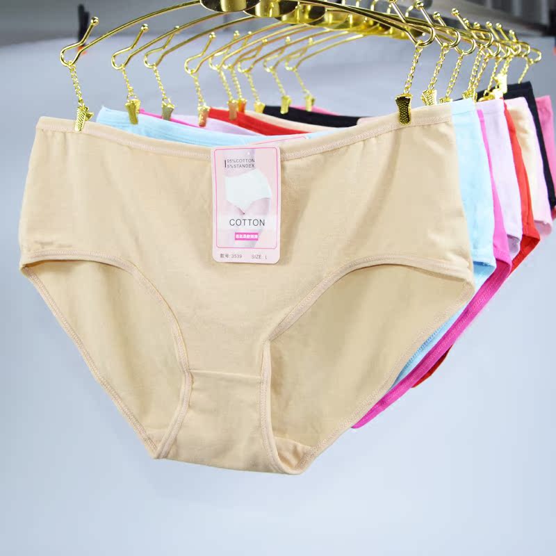 Slip en coton - Ref 639547 Image 5