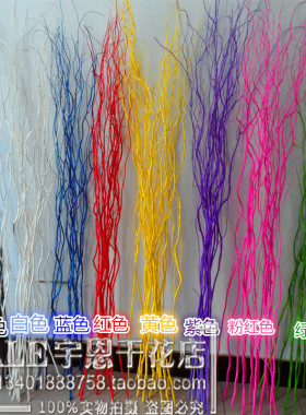 天然树枝龙柳曲玄关隔断橱窗干花