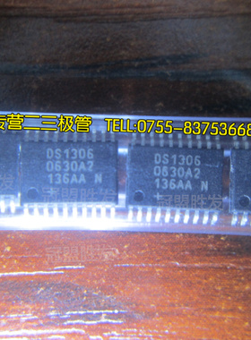 DS1306EN DS1306 TSSOP-20 MAXIM 全新原装 质量保证 可以直拍