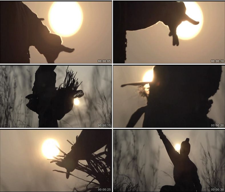 中华武术中国功夫古代夕阳练武中国高清实拍视频素材